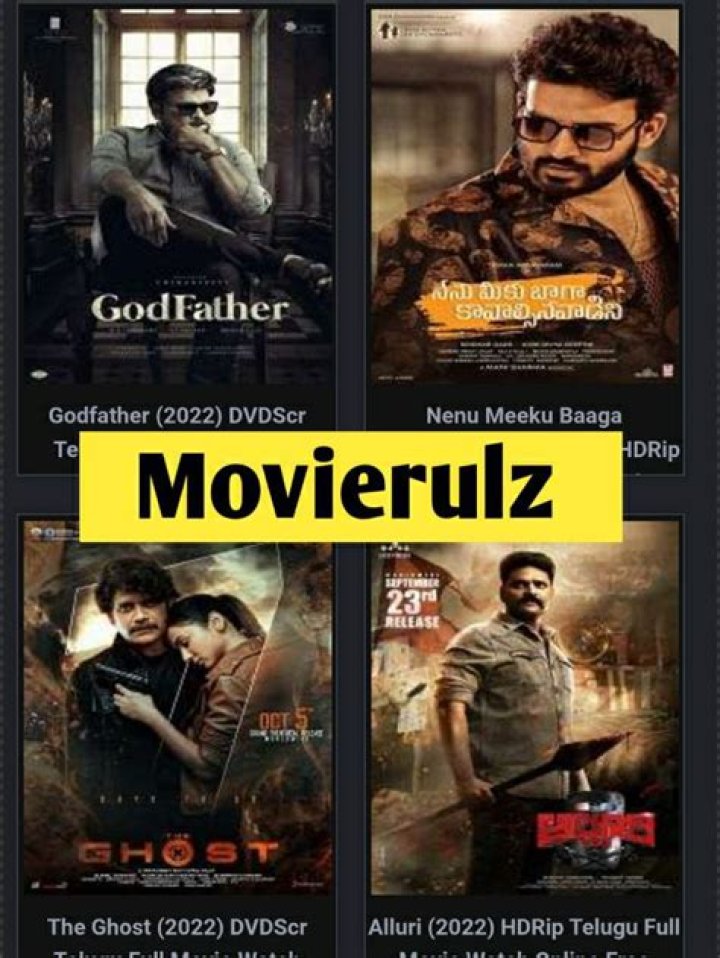Comprehensive Guide to Movierulz Download 2024: Safety, Alternatives, and Legal Insights